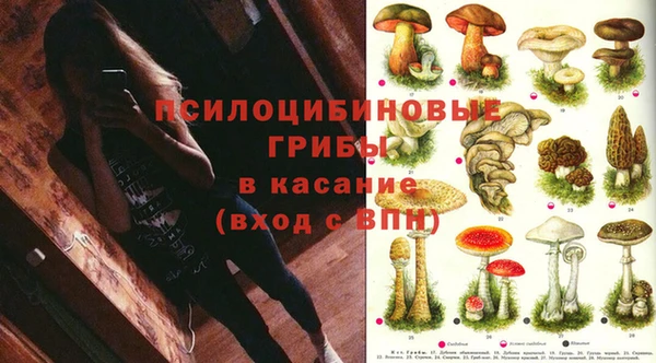 гашик Валдай