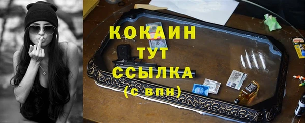 дмт Арсеньев