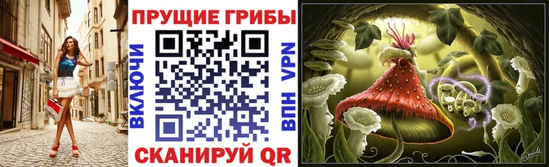 Псилоцибиновые грибы Cubensis  даркнет какой сайт  Дмитров 