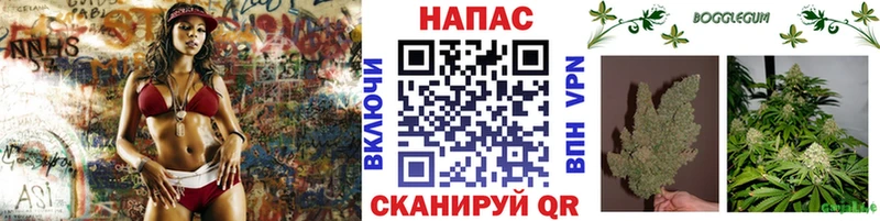 что такое Дмитров Каннабис Ganja